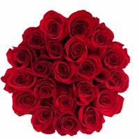 Luxurious Red Roses and Personalized Balloon