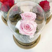 Rustic Enchanted Rose