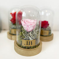 Rustic Enchanted Rose